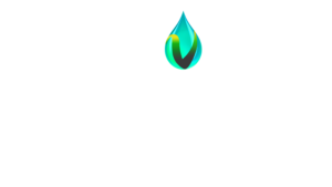 vitallogo_enhanced